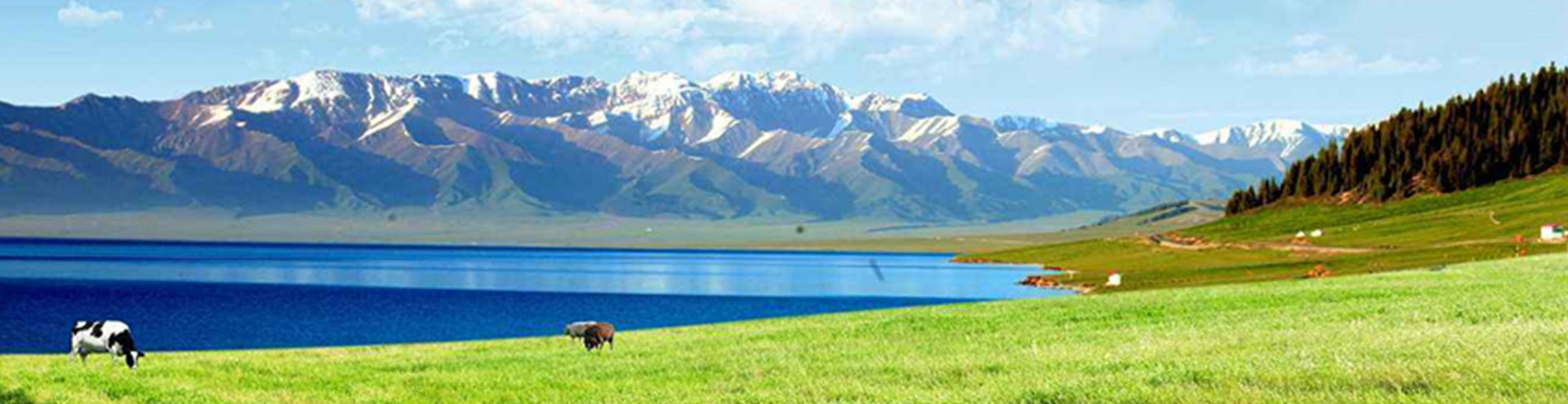 uv光氧催化设备